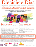Seventeen Days Spanish Flyer