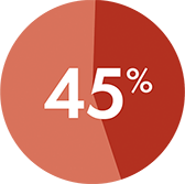 Forty Five Percent on Red Pie Chart Slice